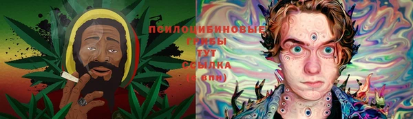 молекула духа Липки