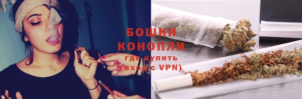 молекула духа Липки
