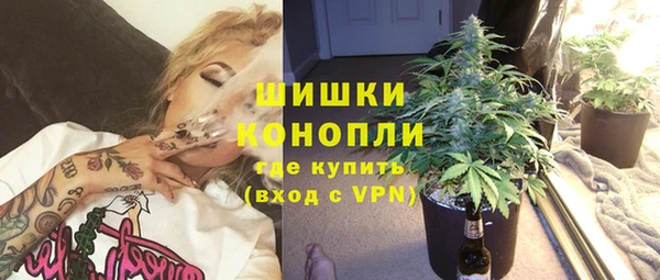 молекула духа Липки